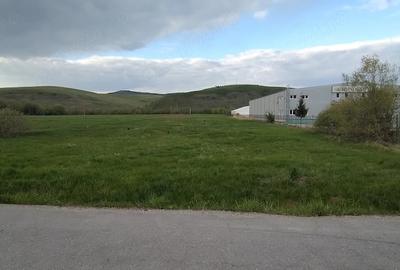 Teren de 4653 mp, în Căpușu Mare - 8