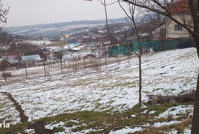 Teren de 704 mp, în Breazu - 15