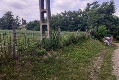 Teren de 1948 mp, în Brăești - 3