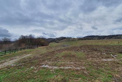 Teren agricol extravilan de 6300 mp, în Cheile Râșnoavei - 4