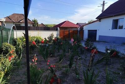 Casă cu Teren 1560 Mp în Așchileu