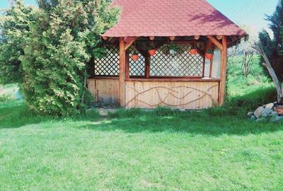 Casă cu 5 camere cu Teren 4200 Mp în Poiana Mărului - 2