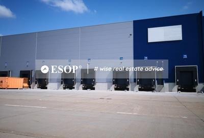 Spațiu industrial, de 2,500 mp, în Mogoșoaia - 2
