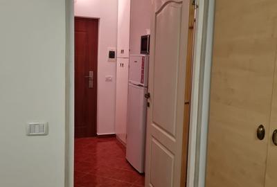 Garsonieră decomandată, mobilată în Podu Roș - 3