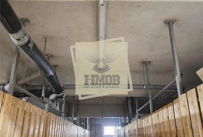 Apartament cu 3 camere în Turnișor