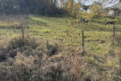 Teren de 3192 mp, în Vulcana de Sus