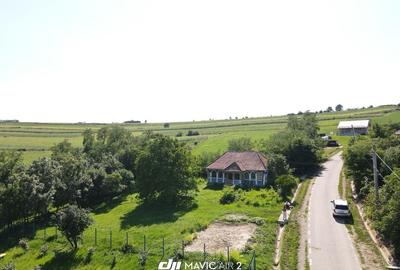 Spațiu comercial, în Mociu - 5