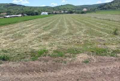 Teren Construcții intravilan de 3024 mp, în Totoi - 4