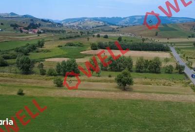 Teren de 2400 mp, în Barcani - 12