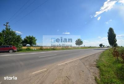Teren de 28500 mp, în Movilița - 4