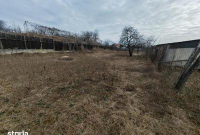 Teren de 1660 mp, în Letea Veche - 5