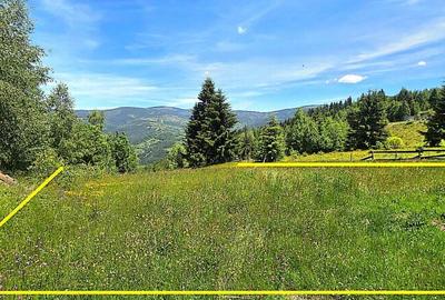 Teren de 803 mp, în Albac