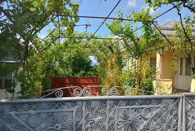 Casă cu 6 camere în Mărăști - 6