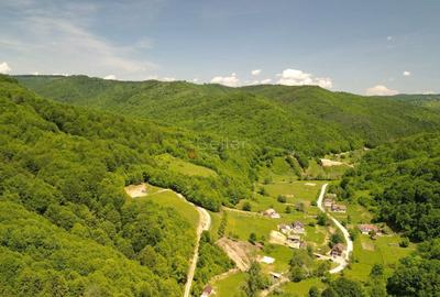 Teren Construcții extravilan de 16000 mp, în Poiana Mărului - 9