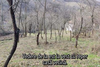 Teren în Pecinișca - 1