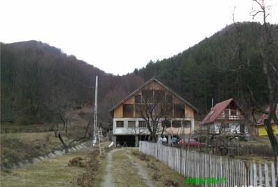 Casă cu 3 camere cu Teren 2500 Mp în Sălătrucu - 9