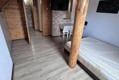 Garsonieră în Ultracentral - 4