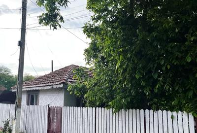 Teren de 1000 mp, în Oreavul - 6