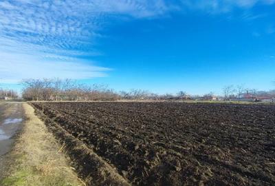 Teren agricol intravilan de 3500 mp, în Dragoș Vodă - 1
