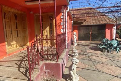Casă cu 3 camere cu Teren 1100 Mp în Sarmizegetusa - 5