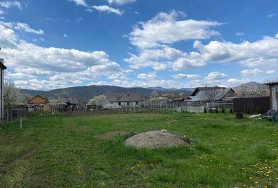 Teren de 1536 mp, în Dumbrava - 4