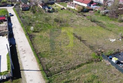 Spațiu comercial, în Malu Mare - 6