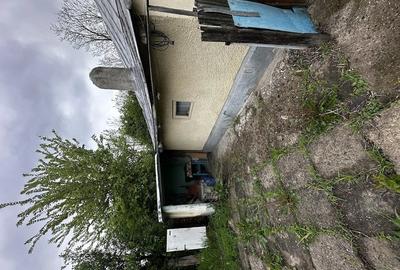 Casă cu 3 camere cu Teren 1300 Mp în Tudor Vladimirescu - 2