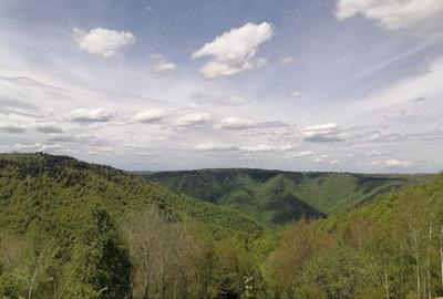 Teren de 20000 mp, în Mărișel