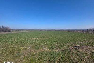 Teren de 3800 mp, în Mischii