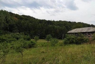 Teren de 1700 mp, în Central - 2
