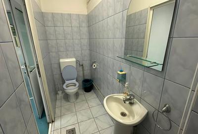 Spațiu comercial, de 1,236 mp, în Govândari - 9