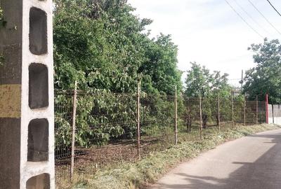 Teren de 1460 mp, în Dascălu