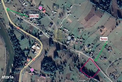 Teren de 11161 mp, în Dorna-Arini - 5