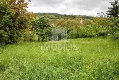 Teren de 994 mp, în Budiu Mic - 4