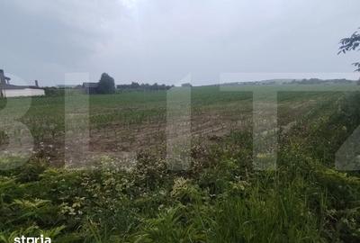Teren de 7500 mp, în Curtești - 1