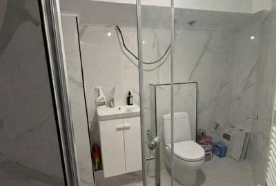 Apartament cu 3 camere decomandat în Boema - 8