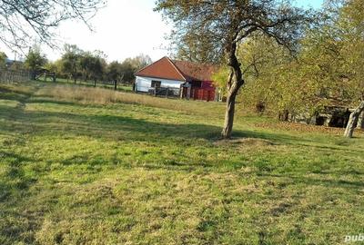 Teren de 2000 mp, în Porumbacu de Sus - 6