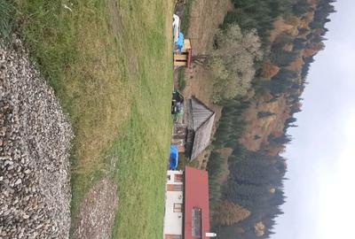 Casă cu 3 camere cu Teren 1930 Mp în Tulgheș - 7