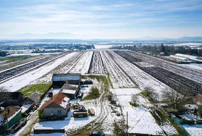 Teren Construcții intravilan de 6245 mp, în Exterior Est - 1