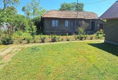 Casă cu Teren 1200 Mp în Ciorani - 3