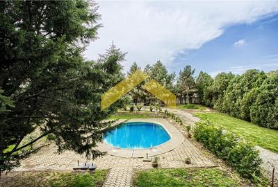 Casă individuală cu 15 camere cu Piscina în Micălaca - 1
