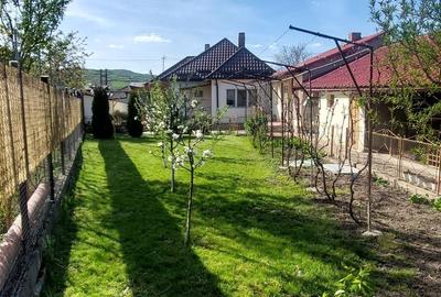 Casă cu 2 camere în Central