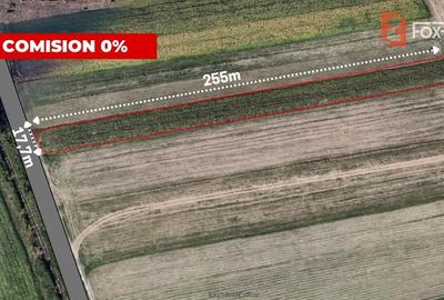 Teren agricol extravilan de 4343 mp, în Utvin - 2