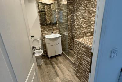 Apartament cu 2 camere decomandat în Stana - 4