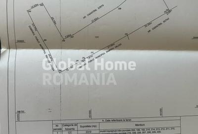 Spațiu comercial, de 927 mp, în Ostroveni - 29