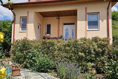 Casă cu 2 camere în Podgoria - 11