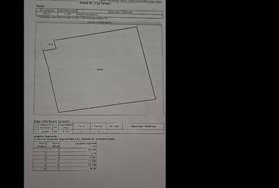Teren Construcții intravilan de 3100 mp, în Buza - 4