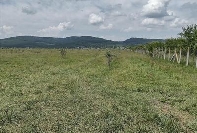Teren de 50000 mp, în Jelna - 8