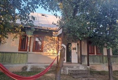 Casă cu 2 camere cu Teren 3200 Mp în Negri