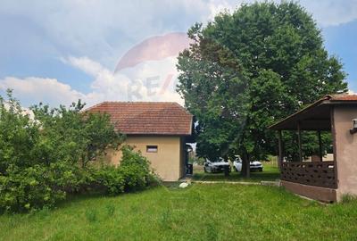 Casă cu 4 camere cu Teren 2000 Mp în Damiș - 43